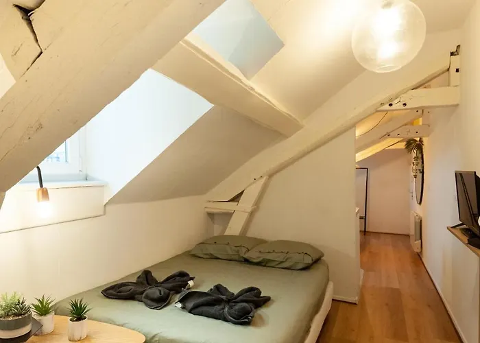 Le Loft - Studio En Hypercentre - Cathedrale
