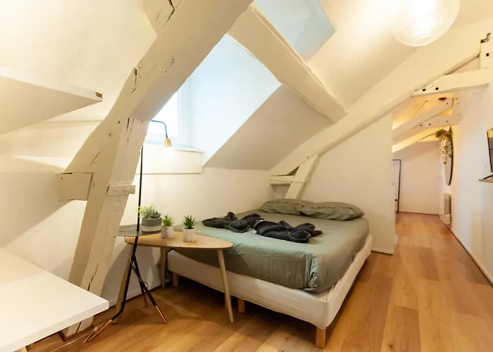 Le Loft - Studio En Hypercentre - Cathedrale