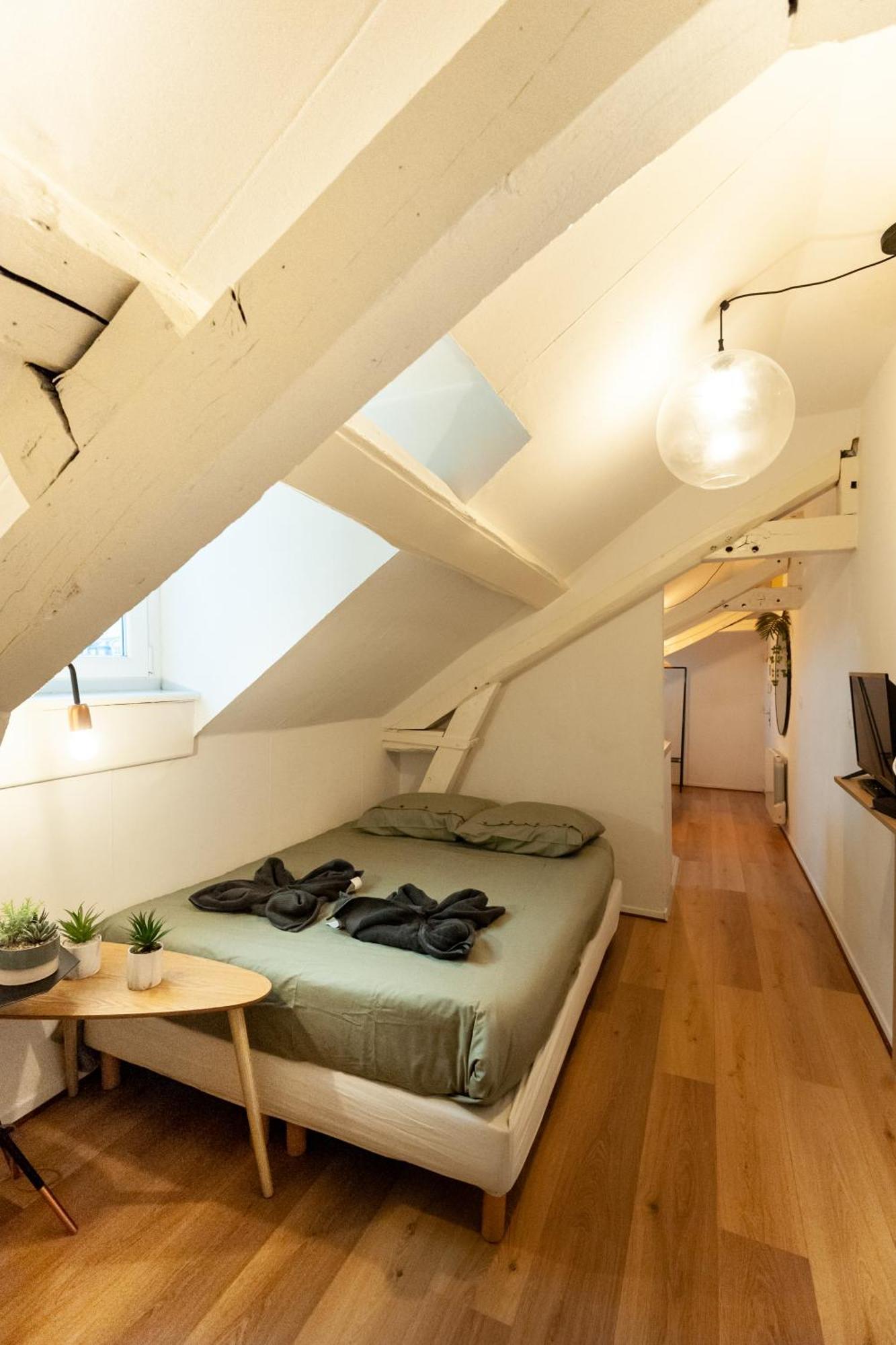 Apartment Le Loft - En Hypercentre - Cathedrale Amiens